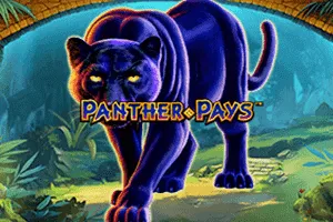 Panther Pays - STOREBET77