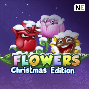 Flowers Christmas Edition - STOREBET77