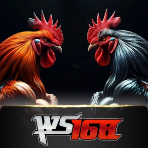 Ws168 Sabung - STOREBET77