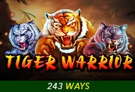 Spadegaming : Tiger Warrior - STOREBET77
