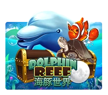 Joker123 : Dolphin Reef - STOREBET77