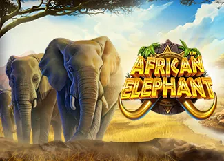 Pragmatic : African Elephant - STOREBET77